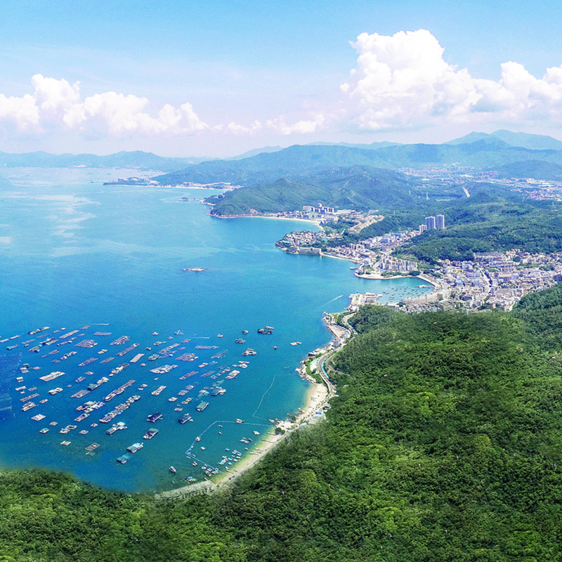 大鹏城市图